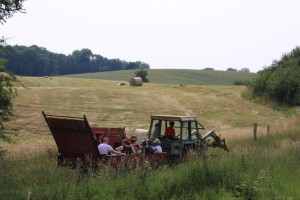 IMG_0517